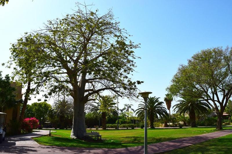 Hotel כפר נופש קלי"ה ים המלח Kalia Exterior foto